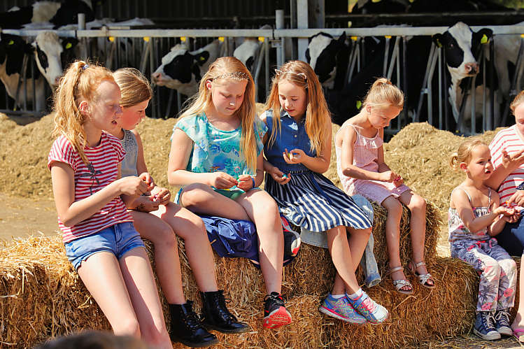 Paaseieren zoeken met en door speeltuinvereniging Wildebras_08